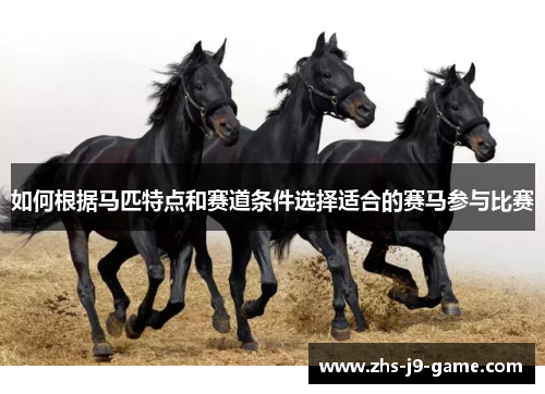 如何根据马匹特点和赛道条件选择适合的赛马参与比赛 如何根据马匹特点和赛道条件选择适合的赛马参与比赛
