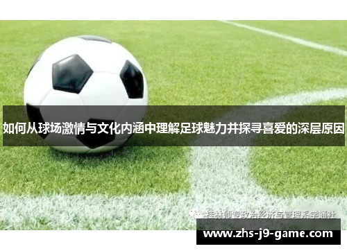 如何从球场激情与文化内涵中理解足球魅力并探寻喜爱的深层原因 如何从球场激情与文化内涵中理解足球魅力并探寻喜爱的深层原因